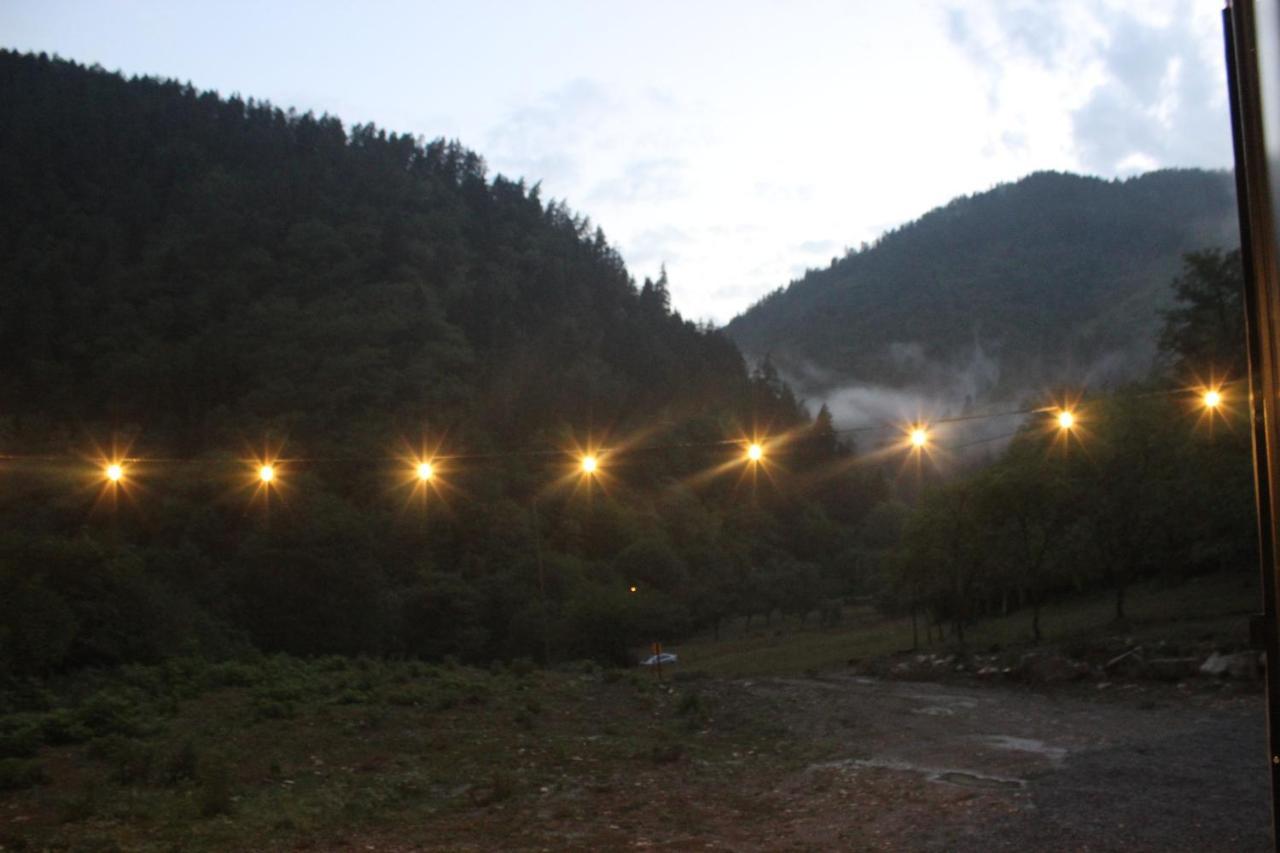 Cozy House In The Forest Borjomi Exterior foto