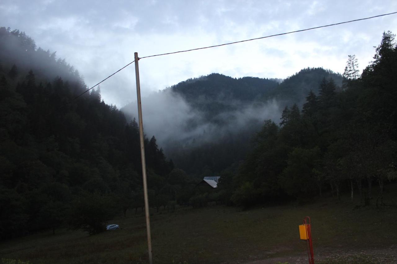 Cozy House In The Forest Borjomi Exterior foto